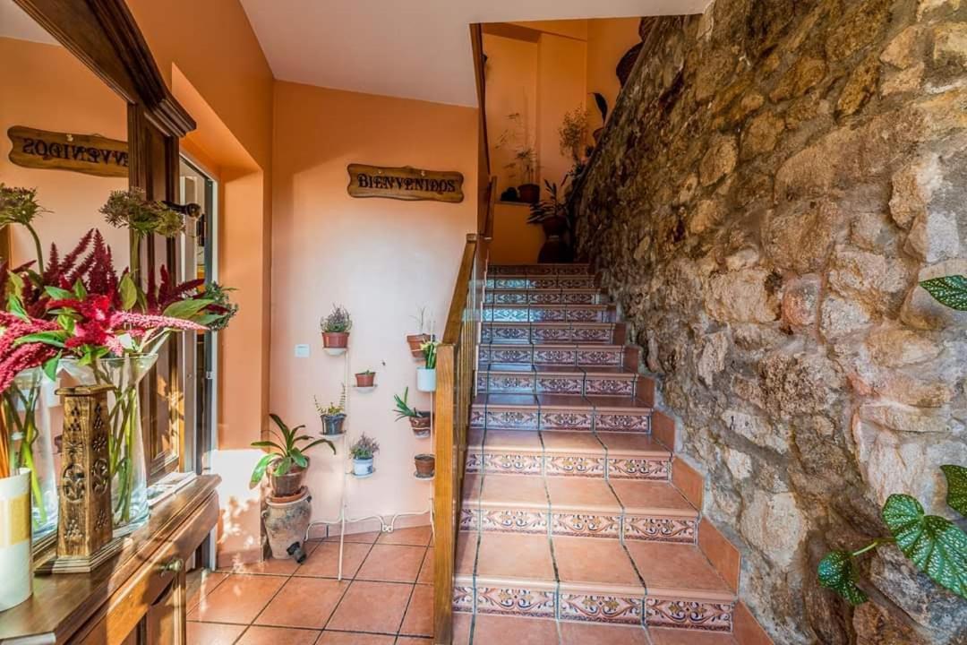 Apartamentos & Casa Rural Boada Con Jardin Interior Y Barbacoa Villamiel Eksteriør billede